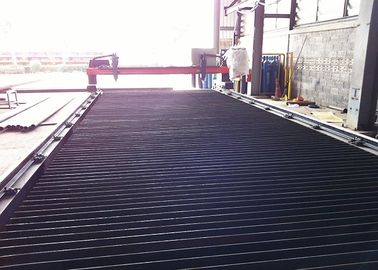 Cnc-3000 Economische Lichte Brugcnc Plasma &amp; oxy-Brandstof Plaatsnijmachine