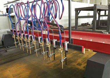 3000X14000mm de Snijmachine van het Strookgas voor h-Straalproductielijn (9+1)